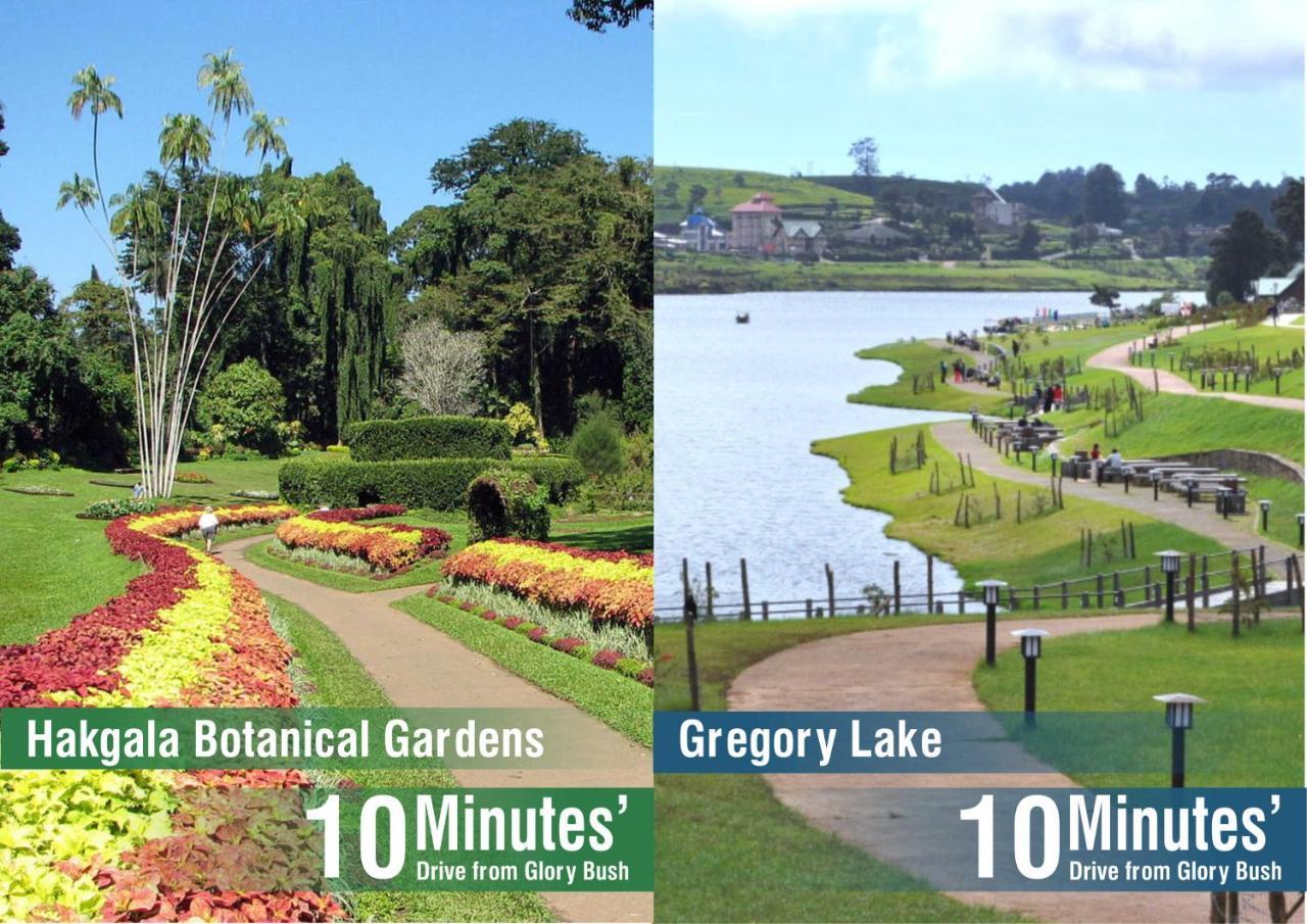 Glory Bush Boutique Villa Nuwara Eliya Zewnętrze zdjęcie
